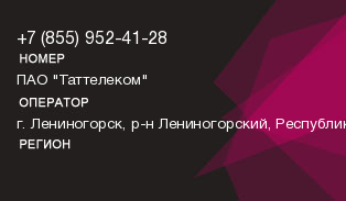 8559524128